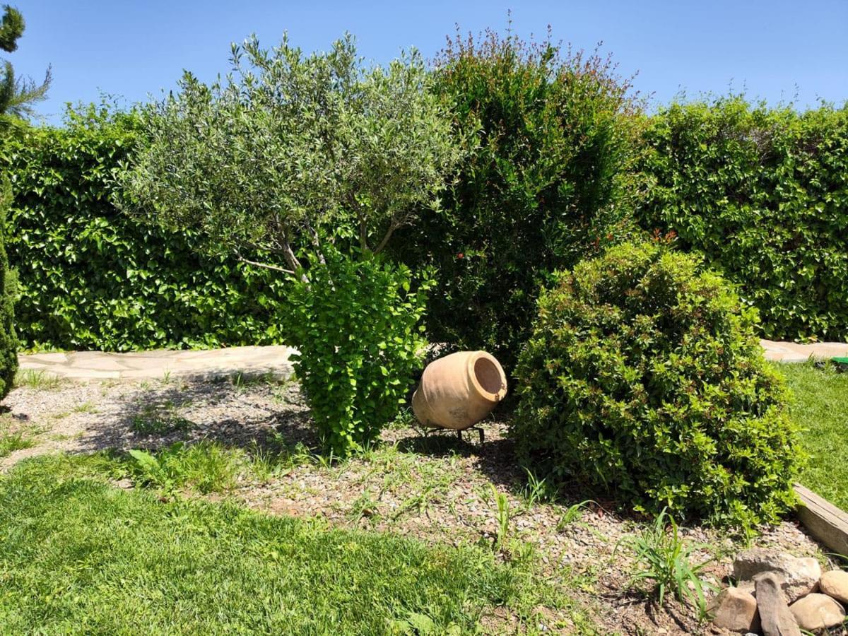Vila San Julian Estarondo Tudela Exteriér fotografie